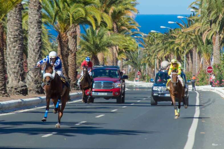 Careras de caballo en la Avenida del Cabildo/Antonio Rico.